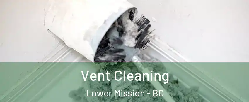  Vent Cleaning Lower Mission - BC