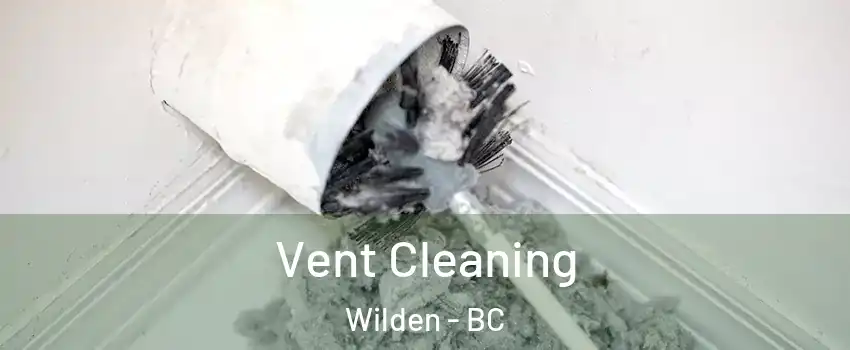  Vent Cleaning Wilden - BC