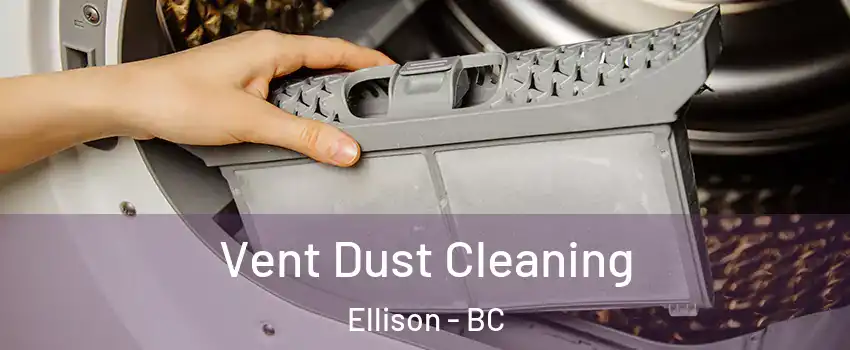  Vent Dust Cleaning Ellison - BC