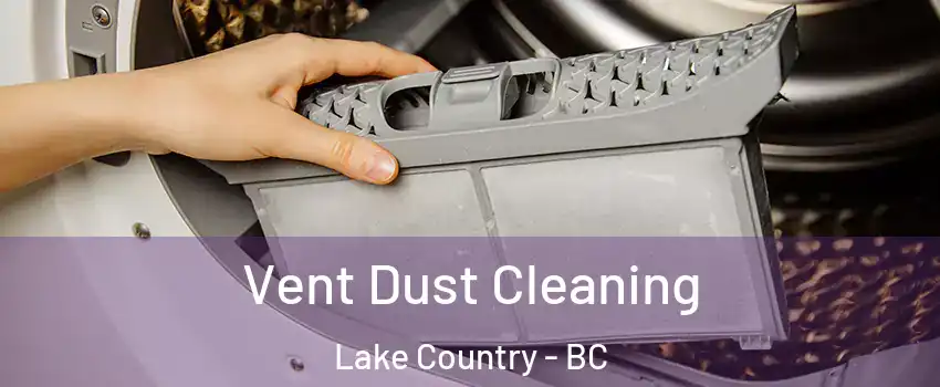  Vent Dust Cleaning Lake Country - BC