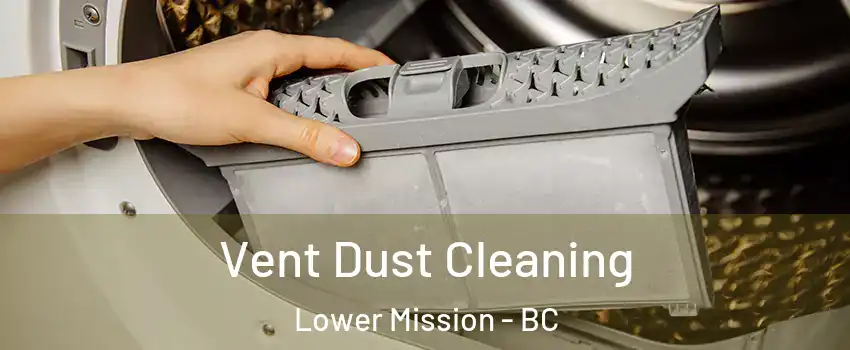  Vent Dust Cleaning Lower Mission - BC