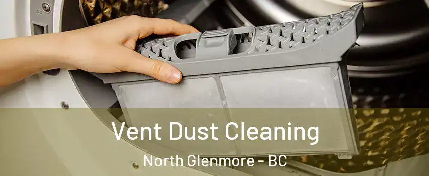  Vent Dust Cleaning North Glenmore - BC