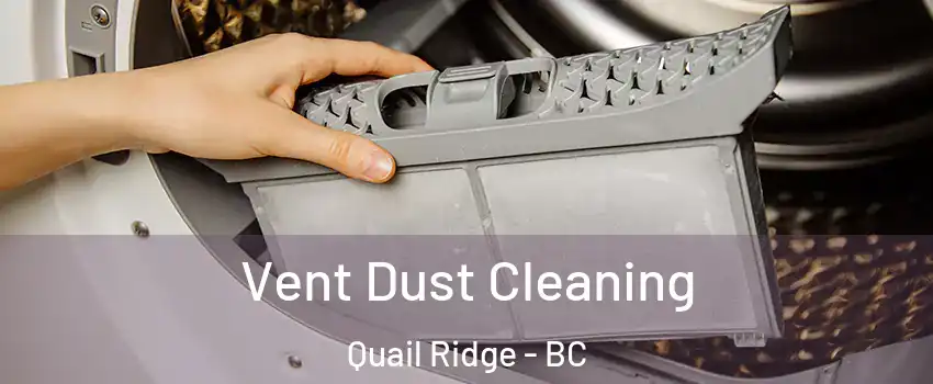  Vent Dust Cleaning Quail Ridge - BC