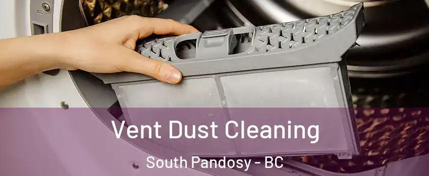  Vent Dust Cleaning South Pandosy - BC