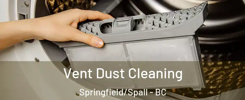  Vent Dust Cleaning Springfield/Spall - BC