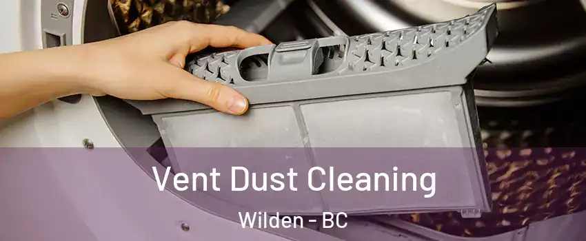  Vent Dust Cleaning Wilden - BC