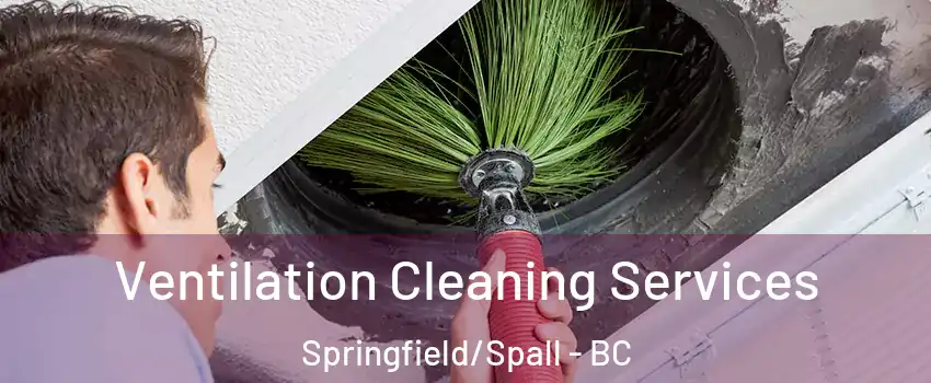  Ventilation Cleaning Services Springfield/Spall - BC