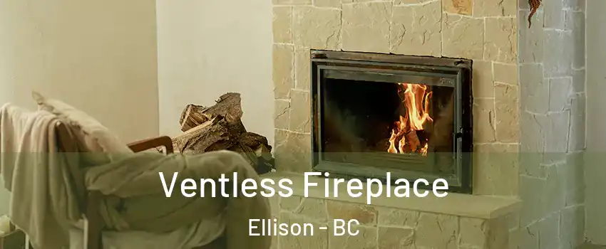  Ventless Fireplace Ellison - BC