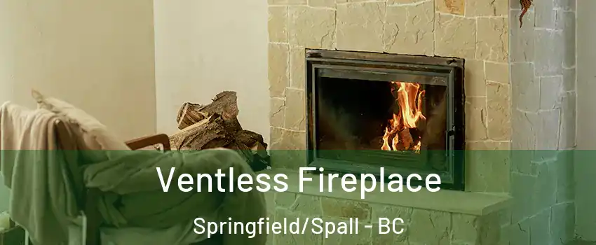  Ventless Fireplace Springfield/Spall - BC
