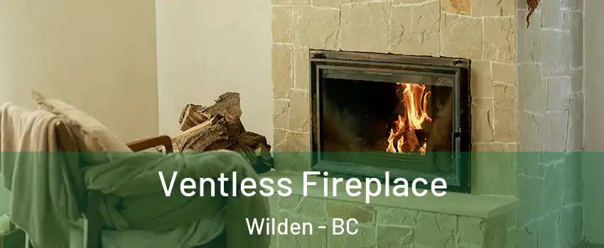  Ventless Fireplace Wilden - BC