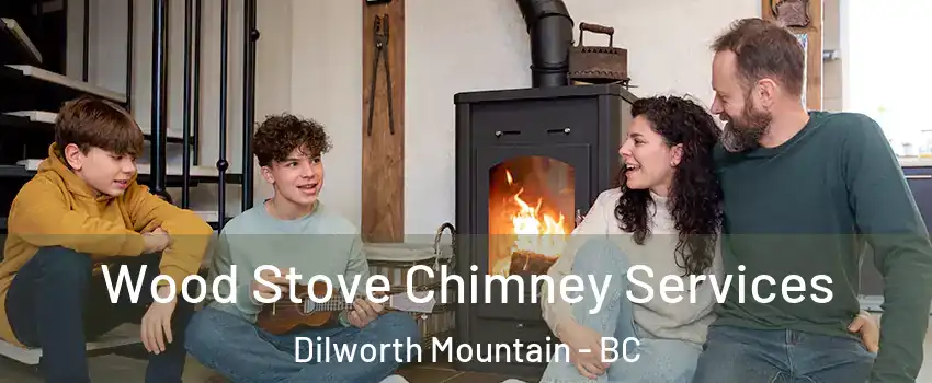  Wood Stove Chimney Services Dilworth Mountain - BC