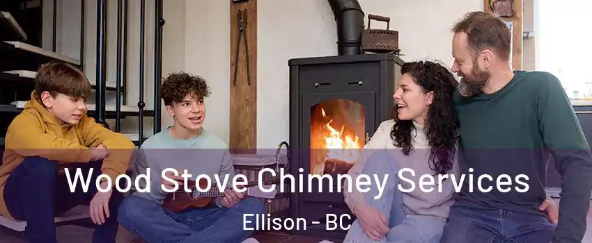  Wood Stove Chimney Services Ellison - BC