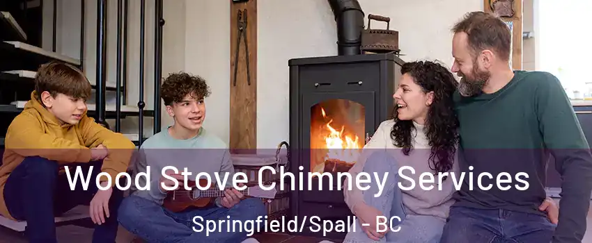  Wood Stove Chimney Services Springfield/Spall - BC