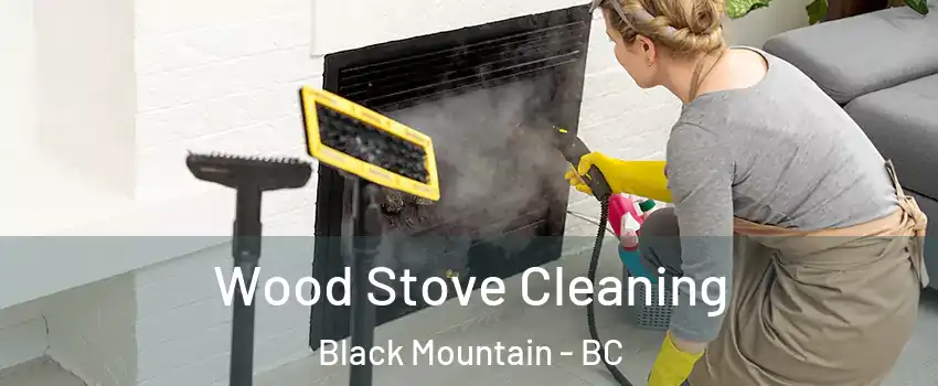  Wood Stove Cleaning Black Mountain - BC