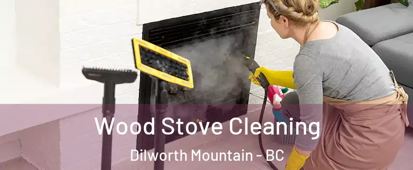  Wood Stove Cleaning Dilworth Mountain - BC