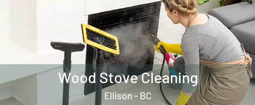  Wood Stove Cleaning Ellison - BC