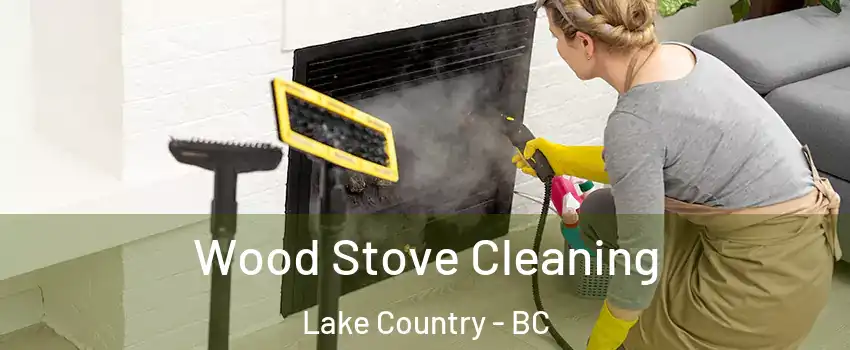  Wood Stove Cleaning Lake Country - BC