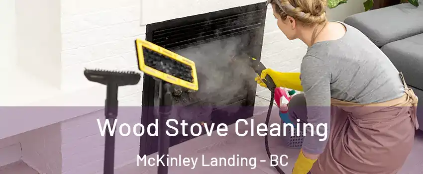  Wood Stove Cleaning McKinley Landing - BC