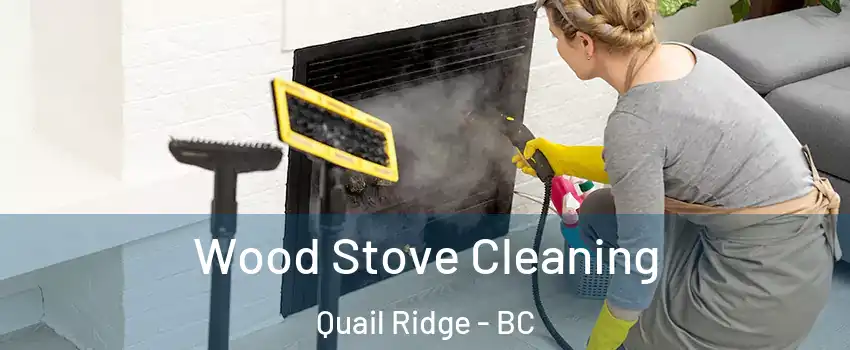  Wood Stove Cleaning Quail Ridge - BC