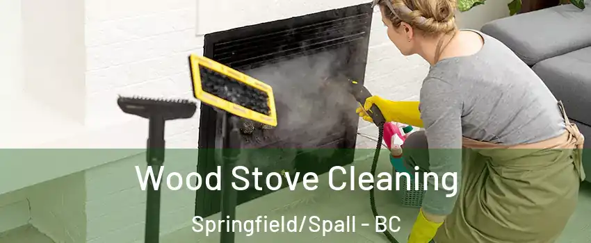  Wood Stove Cleaning Springfield/Spall - BC