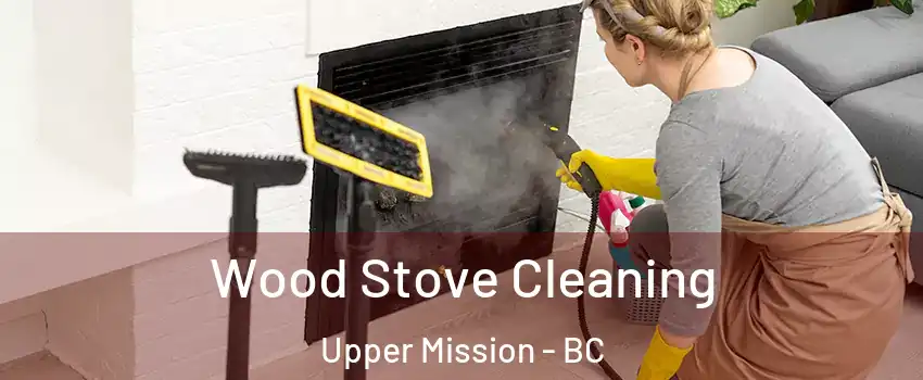  Wood Stove Cleaning Upper Mission - BC
