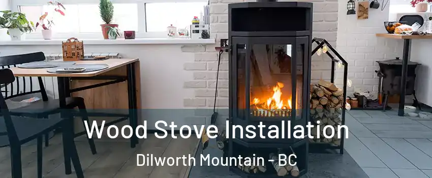  Wood Stove Installation Dilworth Mountain - BC