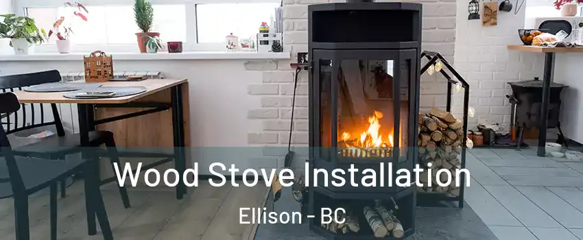  Wood Stove Installation Ellison - BC
