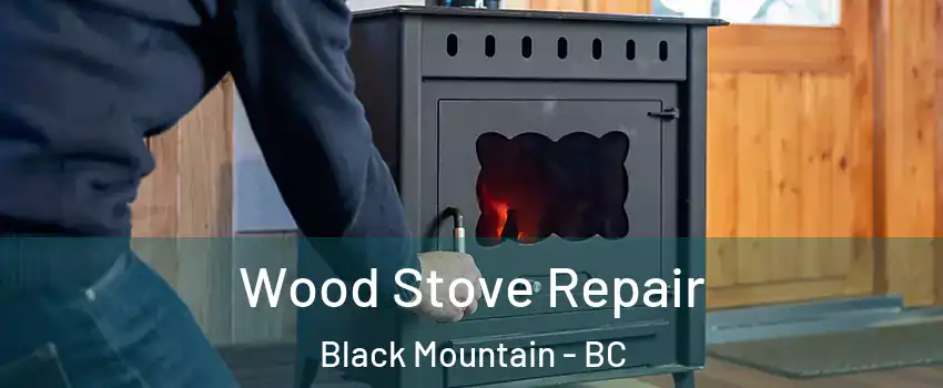  Wood Stove Repair Black Mountain - BC