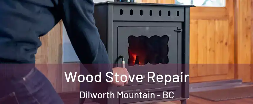  Wood Stove Repair Dilworth Mountain - BC
