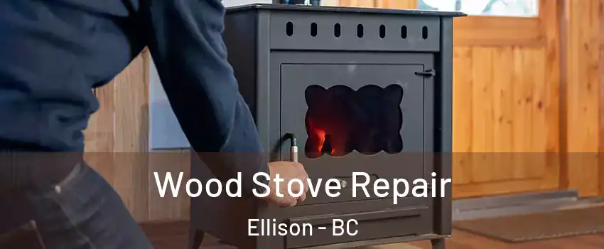  Wood Stove Repair Ellison - BC